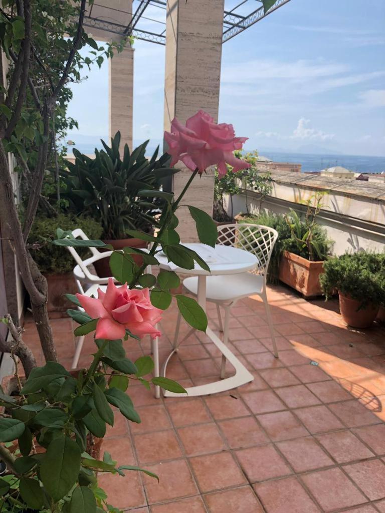 B&B Casamiranapoli Exteriör bild